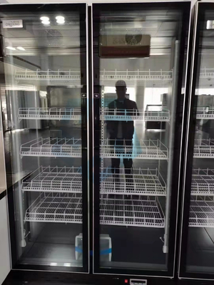 Air Cooling Two Door Glass Display Fridge