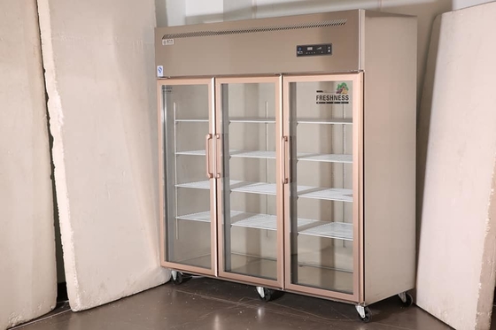 Six Door Glass Door Display Freezer Automatic Defrosting And Defogging